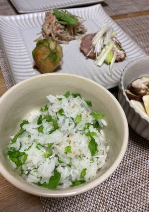 大根葉としらすの混ぜご飯-レシピのメイン写真