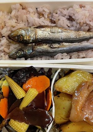 鳥もも肉じゃが弁当-レシピのメイン写真