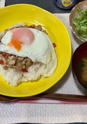 豆腐入り、ナンプラーなしのガパオライス-レシピのメイン写真