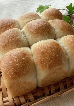 自家製酵母のパン：ちぎりパン-レシピのメイン写真