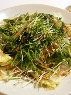 白菜と水菜の和風サラダ-レシピのメイン写真