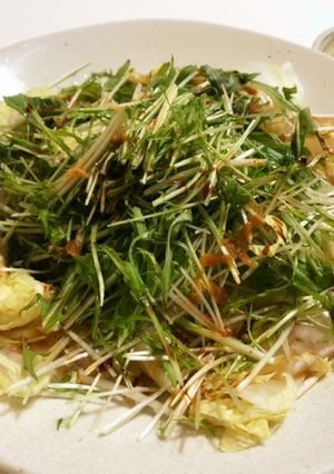 白菜と水菜の和風サラダ-レシピのメイン写真
