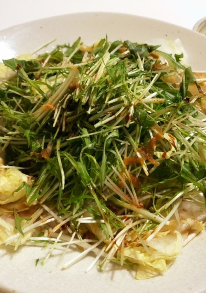 白菜と水菜の和風サラダ-レシピのメイン写真