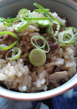 ✤牛めし✤✤~松屋風~✤-レシピのメイン写真