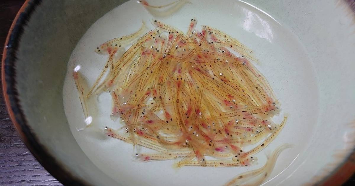 基本からアレンジまで!思わずつくりたくなる「白魚 おどり」のレシピ集 | クックパッド