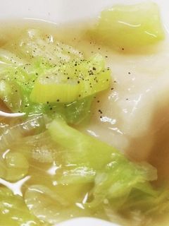 ぶっこみ☆スープギョウザ♪-レシピのメイン写真