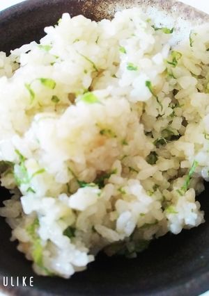 わさび菜、炊き込みご飯(っ´ω`c)-レシピのメイン写真