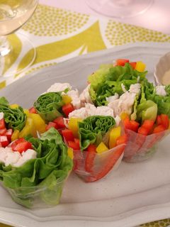彩り野菜と蒸し鶏の生春巻き-レシピのメイン写真