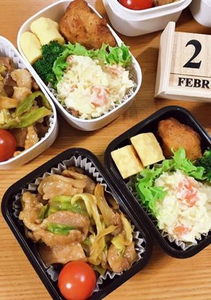 豚こまオイスター炒め弁当 22.2.21-レシピのメイン写真