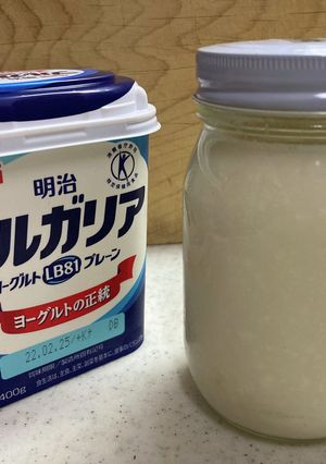 自家製酵母液種：ヨーグルト酵母-レシピのメイン写真