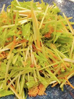 水菜のサラダ~中華ドレッシング~-レシピのメイン写真