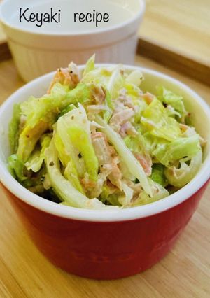 うまシャキ！白菜とツナのポンマヨサラダ-レシピのメイン写真