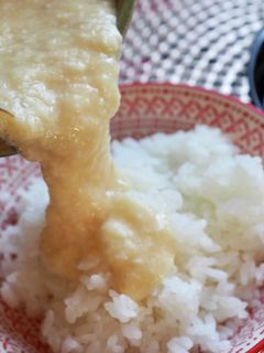 とろろごはん-レシピのメイン写真
