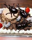 カブトムシケーキ☆クワガタ☆キャラケーキ