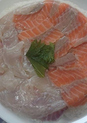 2色 押し寿司-レシピのメイン写真