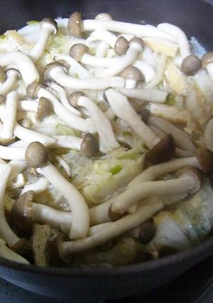 白菜と豚しゃぶ肉の重ね煮-レシピのメイン写真