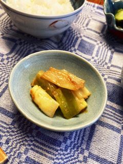 長ネギのスパイス味噌炒め-レシピのメイン写真