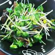 みがきにしんのとばカイワレ大根合え