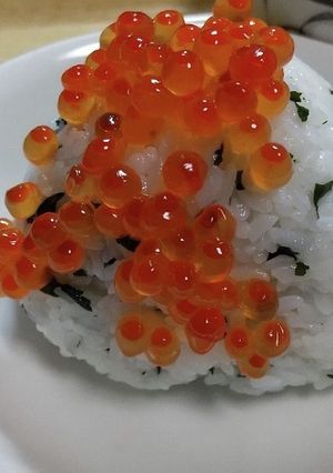 わかめご飯でいくら乗せおにぎり-レシピのメイン写真