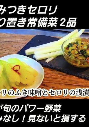 知らなきゃ損！春セロリの人気常備菜2品-レシピのメイン写真