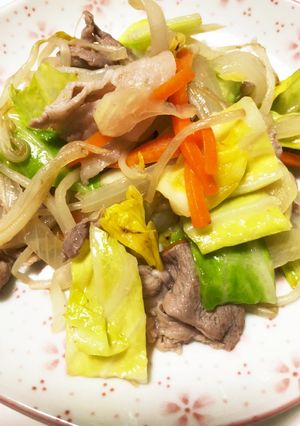 シャキシャキ美味しい野菜炒め-レシピのメイン写真