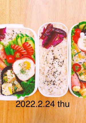 2パターンお弁当★015-レシピのメイン写真