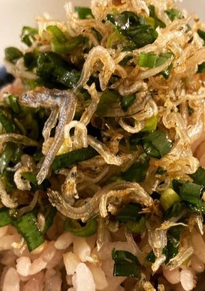 世界一簡単美味レシピ〜ご飯の共じゃこ飯編-レシピのメイン写真