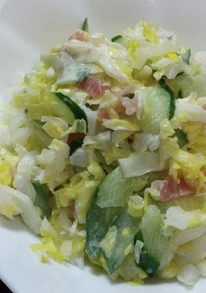 白菜のコールスローサラダ-レシピのメイン写真