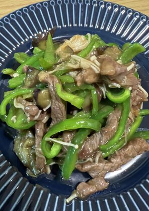 ナスとピーマンの青椒肉絲-レシピのメイン写真