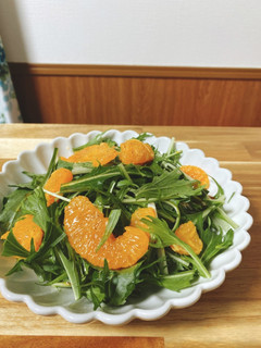 たんかんと水菜のサラダ-レシピのメイン写真