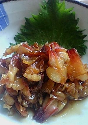 ほっき貝の生姜煮-レシピのメイン写真