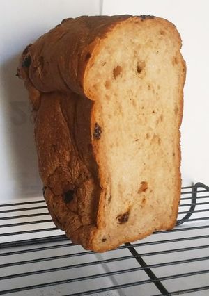 レーズンクルミ食パンシナモン風味　HB-レシピのメイン写真