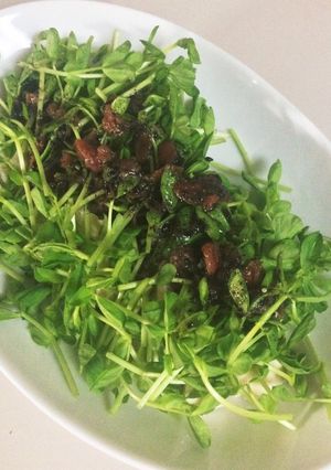 あっさりうめ胡麻ソースの豆苗胸肉-レシピのメイン写真