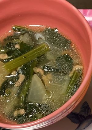 メインになれるひき肉のスープ-レシピのメイン写真