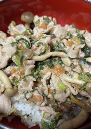 3色の味に出会える豚肉と梅肉丼(仮)-レシピのメイン写真
