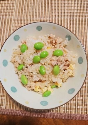 鶏そぼろご飯〜♪♪♪-レシピのメイン写真
