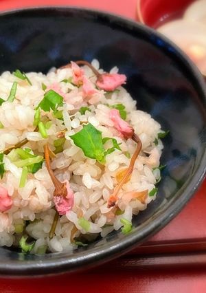 ひな祭りにも♡桜の塩漬け炊き込みご飯-レシピのメイン写真
