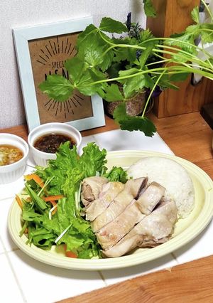 2種のタレで♪海南チキンライス-レシピのメイン写真