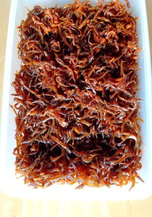 イカナゴのくぎ煮-レシピのメイン写真
