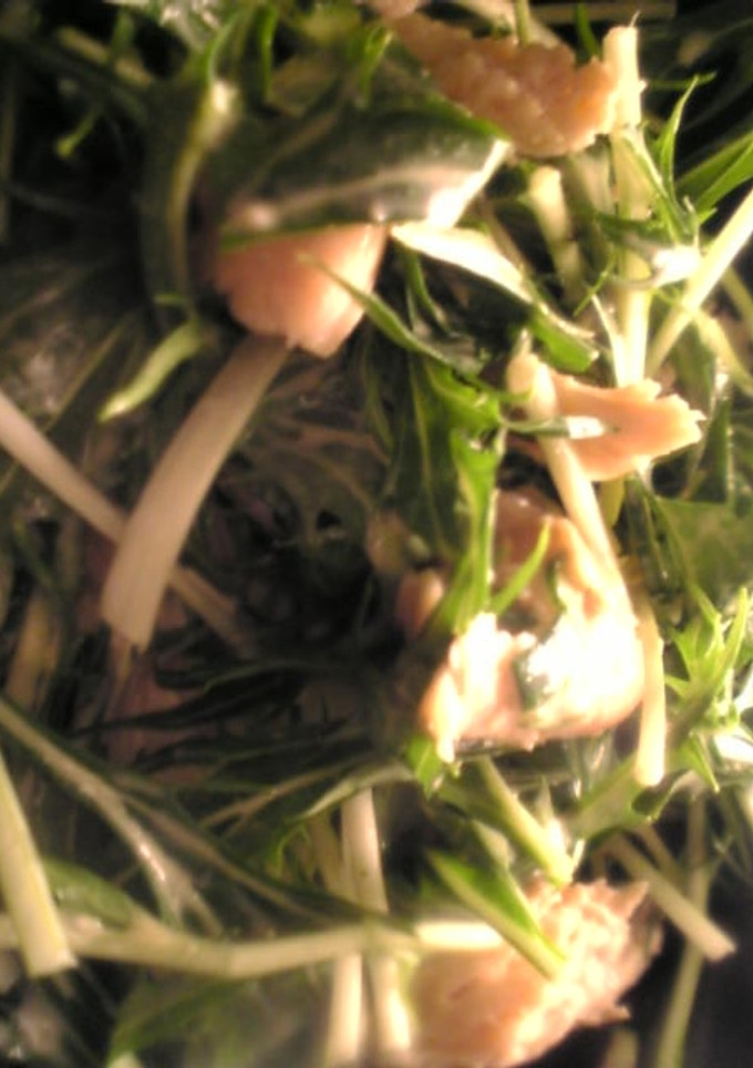 鶏ささみと水菜のワサビマヨネーズ和え-レシピのメイン写真