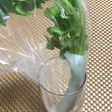 三つ葉の保存方法
