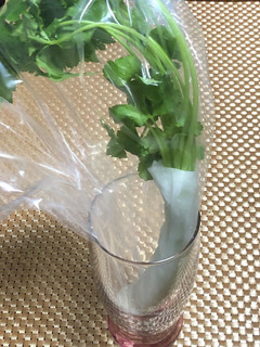 三つ葉の保存方法-レシピのメイン写真