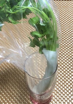 三つ葉の保存方法-レシピのメイン写真