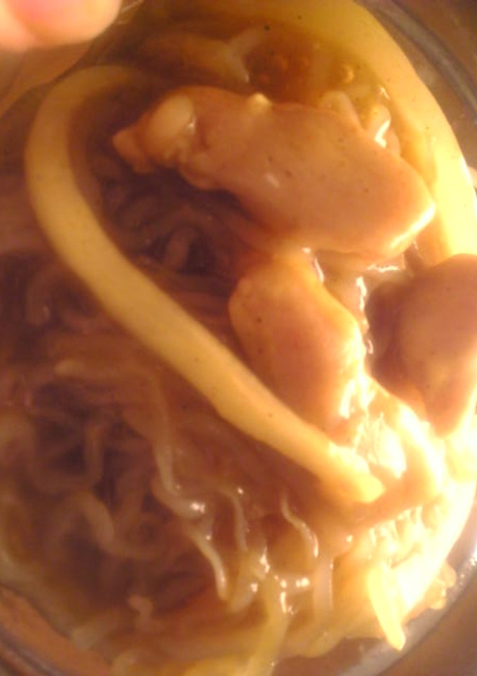 鶏ささみと玉葱と糸蒟蒻のカレーうどん風-レシピのメイン写真