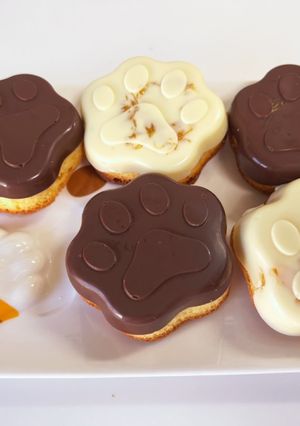チョコ掛けマーマレードマドレーヌ-レシピのメイン写真