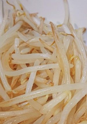 もやしナムル(レンジで)-レシピのメイン写真