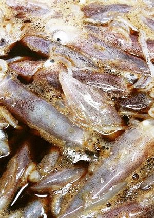 イカの沖漬け(仕込み)-レシピのメイン写真