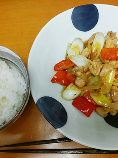 鶏とネギで鴨ねぎ…的な-レシピのメイン写真