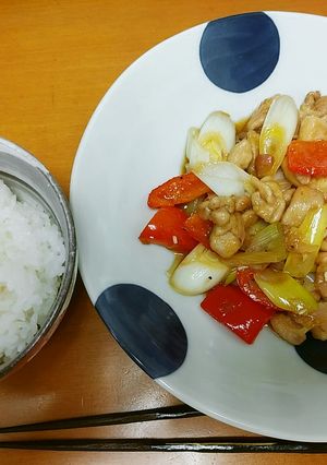 鶏とネギで鴨ねぎ…的な-レシピのメイン写真