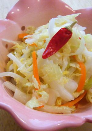 病みつき～白菜の甘酢漬け-レシピのメイン写真